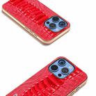 For iPhone 16 Pro Max ABEEL Electroplating Frame Genuine Leather Weilai Series Phone Case(Red) - 3