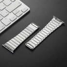 For Apple Watch SE 2023 40mm Single Bead Magnetic Stainless Steel Watch Band(Silver) - 3