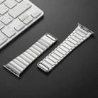 For Apple Watch SE 2022 44mm Single Bead Magnetic Stainless Steel Watch Band(Silver) - 3