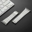 For Apple Watch Series 10 46mm Single Bead Magnetic Stainless Steel Watch Band(Silver) - 3