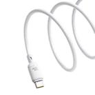 Baseus Silky Series 2m 100W USB to USB-C / Type-C Fast Charging Cable(White) - 3