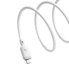 Baseus Silky Series 1m 20W USB-C / Type-C to 8 Pin Fast Charging Cable(White) - 3