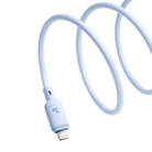 Baseus Silky Series 1m 20W USB-C / Type-C to 8 Pin Fast Charging Cable(Blue) - 3