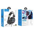 hoco W110 RGB Light Wired Gaming Headset with Microphone, Cable Length: 2m(Black) - 2