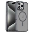 For iPhone 15 Pro Breathable Skin Feel Frosted MagSafe Magnetic Phone Case(Grey) - 1