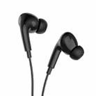 hoco M101 Pro Type-C In-Ear Call / Gaming Wired Earphone, Cable Length: 1.2m(Black) - 2