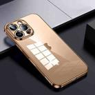 For iPhone 16 Pro Max SULADA Shine Through Series Plating TPU Transparent Phone Case(Gold) - 1