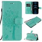 For iPhone 12 Pro Max Tree & Cat Embossed Pattern Horizontal Flip Leather Case with Holder & Card Slots & Wallet & Lanyard(Green) - 1