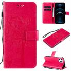 For iPhone 12 Pro Max Tree & Cat Embossed Pattern Horizontal Flip Leather Case with Holder & Card Slots & Wallet & Lanyard(Rose Red) - 1