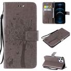 For iPhone 12 Pro Max Tree & Cat Embossed Pattern Horizontal Flip Leather Case with Holder & Card Slots & Wallet & Lanyard(Gray) - 1