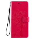 For LG Stylo 6 Tree & Cat Embossed Pattern Horizontal Flip Leather Case with Holder & Card Slots & Wallet & Lanyard(Rose Red) - 2