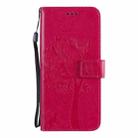 For Huawei Honor X10 5G Tree & Cat Embossed Pattern Horizontal Flip Leather Case with Holder & Card Slots & Wallet & Lanyard(Rose Red) - 2