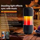 WK Beluga D12 Warrior Outdoor Waterproof Portable Bluetooth Speaker(Black) - 2