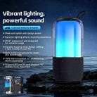 WK Beluga D13 Outdoor Waterproof Portable Bluetooth Speaker(Black) - 2