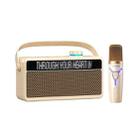 WK Beluga D17 Lyrics Bluetooth Speaker(Beige) - 1