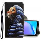 For Vivo Y17 / Y12 / Y15 3D Colored Drawing Horizontal Flip PU Leather Case with Holder & Card Slots & Wallet(Down Jacket Cat) - 1