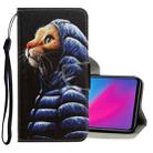 For Vivo Y91C  3D Colored Drawing Horizontal Flip PU Leather Case with Holder & Card Slots & Wallet(Down Jacket Cat) - 1