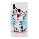 For Vivo Y91C  3D Colored Drawing Horizontal Flip PU Leather Case with Holder & Card Slots & Wallet(Red Mouth Cat) - 3