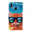 For Vivo Y91C  3D Colored Drawing Horizontal Flip PU Leather Case with Holder & Card Slots & Wallet(Underwater Cat) - 3