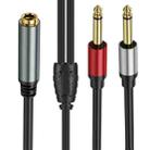 0.3m 6.35mm TRS Stereo Female to 2 x 6.35mm TS Male Mono Audio Adapter Cable(Black) - 2