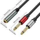 0.3m 6.35mm TRS Stereo Female to 2 x 6.35mm TS Male Mono Audio Adapter Cable(Black) - 3