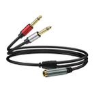 1m 6.35mm TRS Stereo Female to 2 x 6.35mm TS Male Mono Audio Adapter Cable(Black) - 1