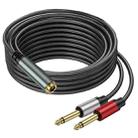 5m 6.35mm TRS Stereo Female to 2 x 6.35mm TS Male Mono Audio Adapter Cable(Black) - 1