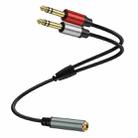 0.3m Gold Plated 6.35mm Female to 2 x 6.35mm Male Stereo Audio Adapter Y Splitter Cable(Black) - 1