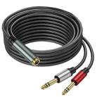 5m Gold Plated 6.35mm Female to 2 x 6.35mm Male Stereo Audio Adapter Y Splitter Cable(Black) - 1