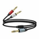 1m Gold Plated 6.35mm Male Dual Sound TRS Stereo to?2 x 6.35mm Male TS Mono Y Splitter Adapter Audio Cable(Black) - 1