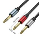 1m Gold Plated 6.35mm Male Dual Sound TRS Stereo to?2 x 6.35mm Male TS Mono Y Splitter Adapter Audio Cable(Black) - 3