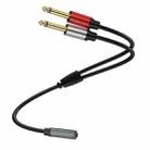 0.3m Gold Plated 3.5mm TRS Female to 2 x 6.35mm TS Male Mono Y Splitter Adapter Audio Cable(Black) - 1