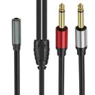 0.3m Gold Plated 3.5mm TRS Female to 2 x 6.35mm TS Male Mono Y Splitter Adapter Audio Cable(Black) - 2