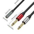 0.3m Gold Plated 3.5mm TRS Female to 2 x 6.35mm TS Male Mono Y Splitter Adapter Audio Cable(Black) - 3