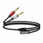 1m Gold Plated 3.5mm TRS Female to 2 x 6.35mm TS Male Mono Y Splitter Adapter Audio Cable(Black) - 1