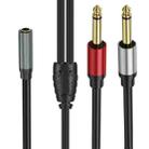 1m Gold Plated 3.5mm TRS Female to 2 x 6.35mm TS Male Mono Y Splitter Adapter Audio Cable(Black) - 2