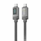 WK WDC-41 Smart Digital Display 1.2m 100W Type-C to Type-C Fast Charging Data Cable(Black Grey) - 1