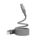 WK WDC-45 Magneto Series 1m 66W USB to Type-C Fast Charging Magnetic Data Cable(Grey) - 2