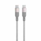 WK WDC-46 Magneto Series 1m 65W Type-C to Type-C Fast Charging Magnetic Data Cable(Grey) - 1