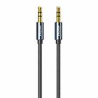 WK WDC-195 1m Geeker 3.5mm TRS AUX Audio Cable(Tarnish) - 1