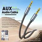 WK WDC-195 1m Geeker 3.5mm TRS AUX Audio Cable(Tarnish) - 3