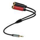 0.3m Gold Plated 3.5mm TRS Male to 2 x 6.35mm Female Laptop Y Splitter Adapter Audio Cable(Black) - 1