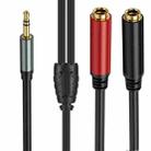 0.3m Gold Plated 3.5mm TRS Male to 2 x 6.35mm Female Laptop Y Splitter Adapter Audio Cable(Black) - 2