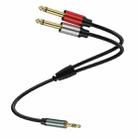 0.3m Gold Plated 3.5mm TRS Stereo to Dual 6.35mm TS Mono Y Splitter Adapter Audio Cable(Black) - 1