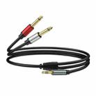 1m Gold Plated 3.5mm TRS Stereo to Dual 6.35mm TS Mono Y Splitter Adapter Audio Cable(Black) - 1