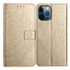 For iPhone 16 Pro Flower Embossed Leather Phone Case(Gold) - 1