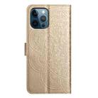 For iPhone 16 Pro Flower Embossed Leather Phone Case(Gold) - 3