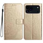 For iPhone 17 Pro Max Flower Embossed Leather Phone Case(Gold) - 1