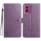 For Motorola Moto G55 Flower Embossed Leather Phone Case(Purple) - 1