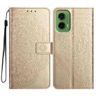 For Motorola Moto G35 Flower Embossed Leather Phone Case(Gold) - 1